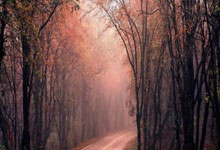 开云体育登录-布宜诺斯艾利斯独立球员伤愈归队，阵容进一步完整