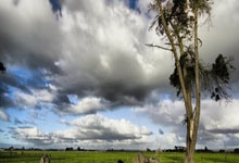 开云体育在线-钢铁之师崛起！普利茅斯全员爆发的胜利密码