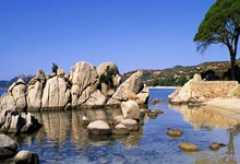 开云体育官网-紫百合客场凋零之谜：当亚平宁风暴席卷文艺复兴之心