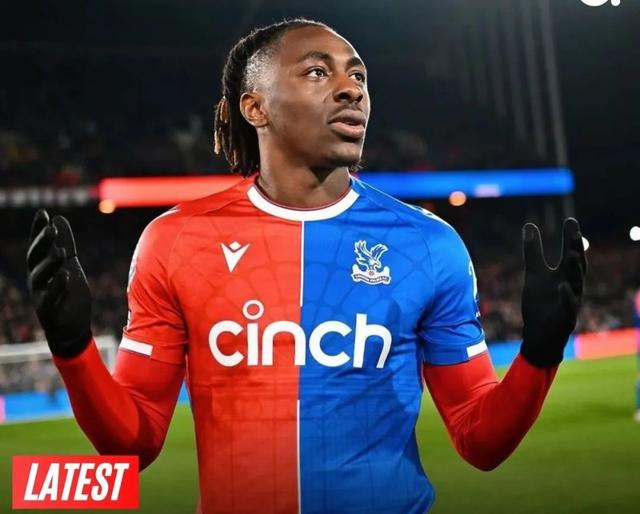 开云体育入口-水晶宫主场失利，英超保级形势动荡的简单介绍