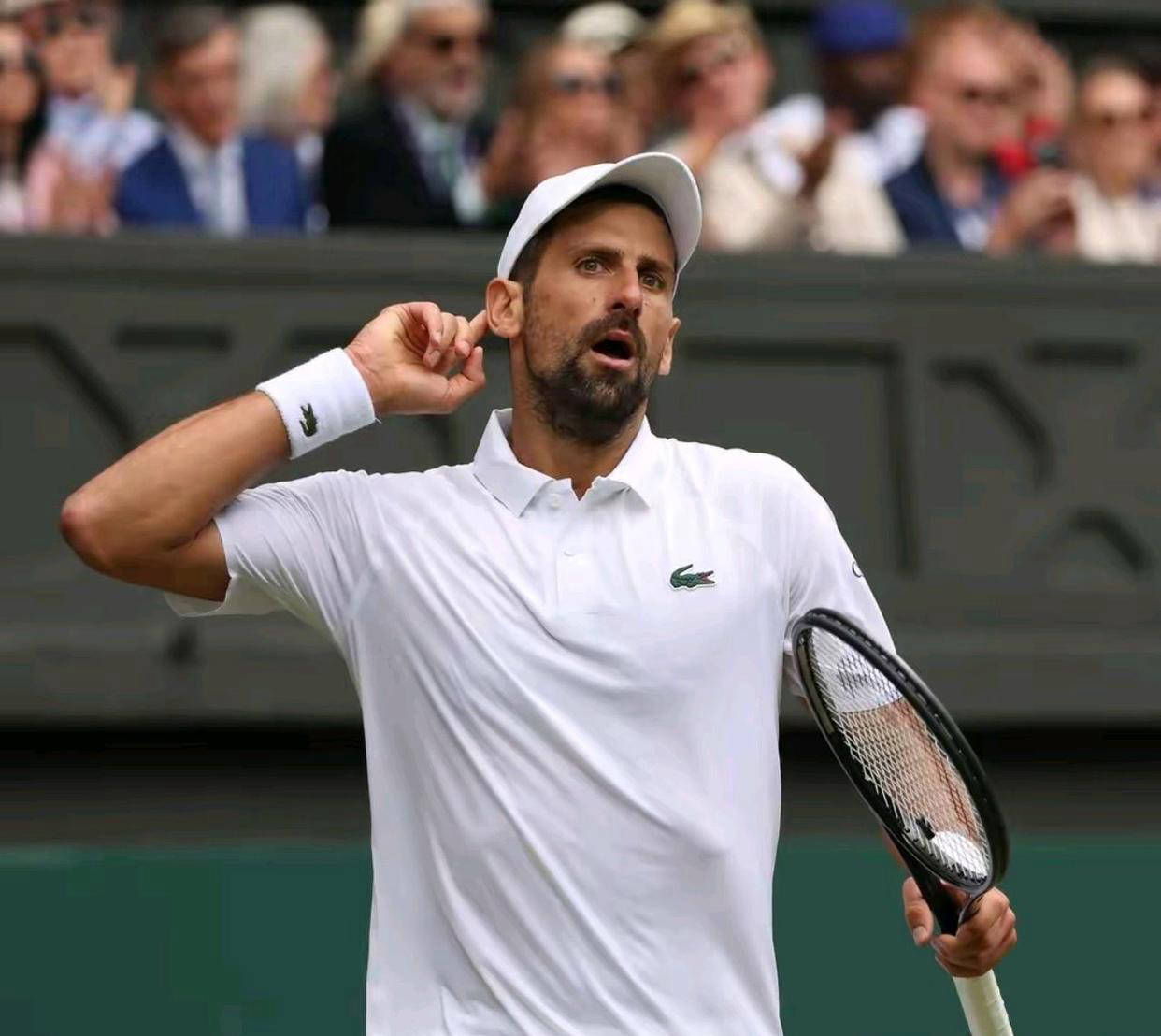 开云APP-戴维斯杯逆转年终总决赛，德约科维奇刷新纪录