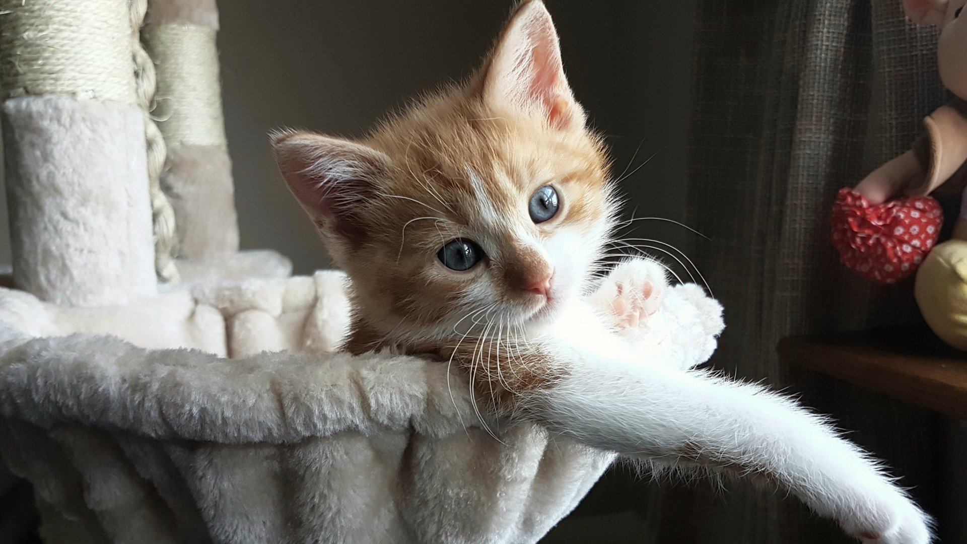 开云官网-死神降世！杜兰特末节19分接管比赛，快船抢五险胜广厦晋级