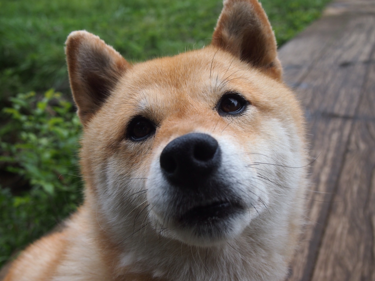 孤胆英雄!C罗以一己之力撕裂防线,尤文险胜背后的王者时刻