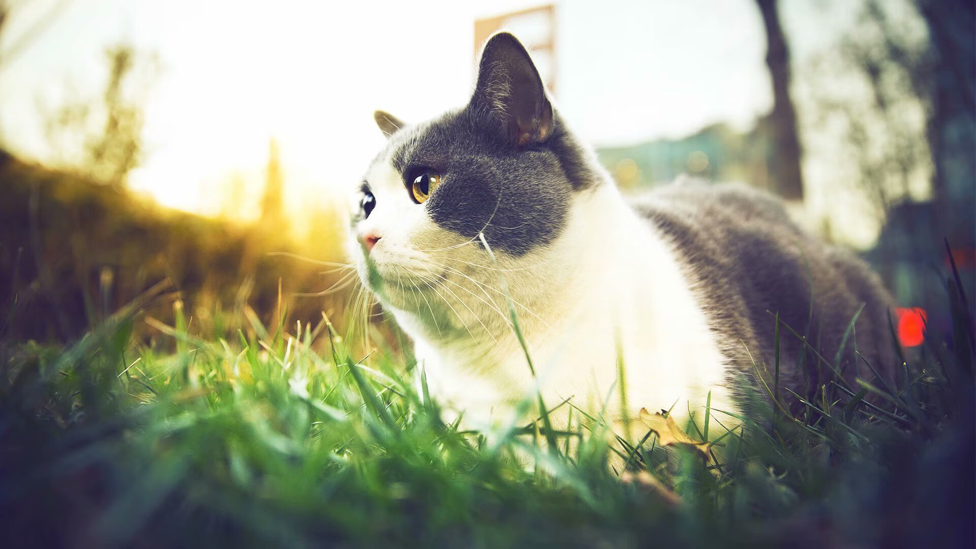 开云平台-布伦森关键先生显威，浙江队突围山西队夺胜