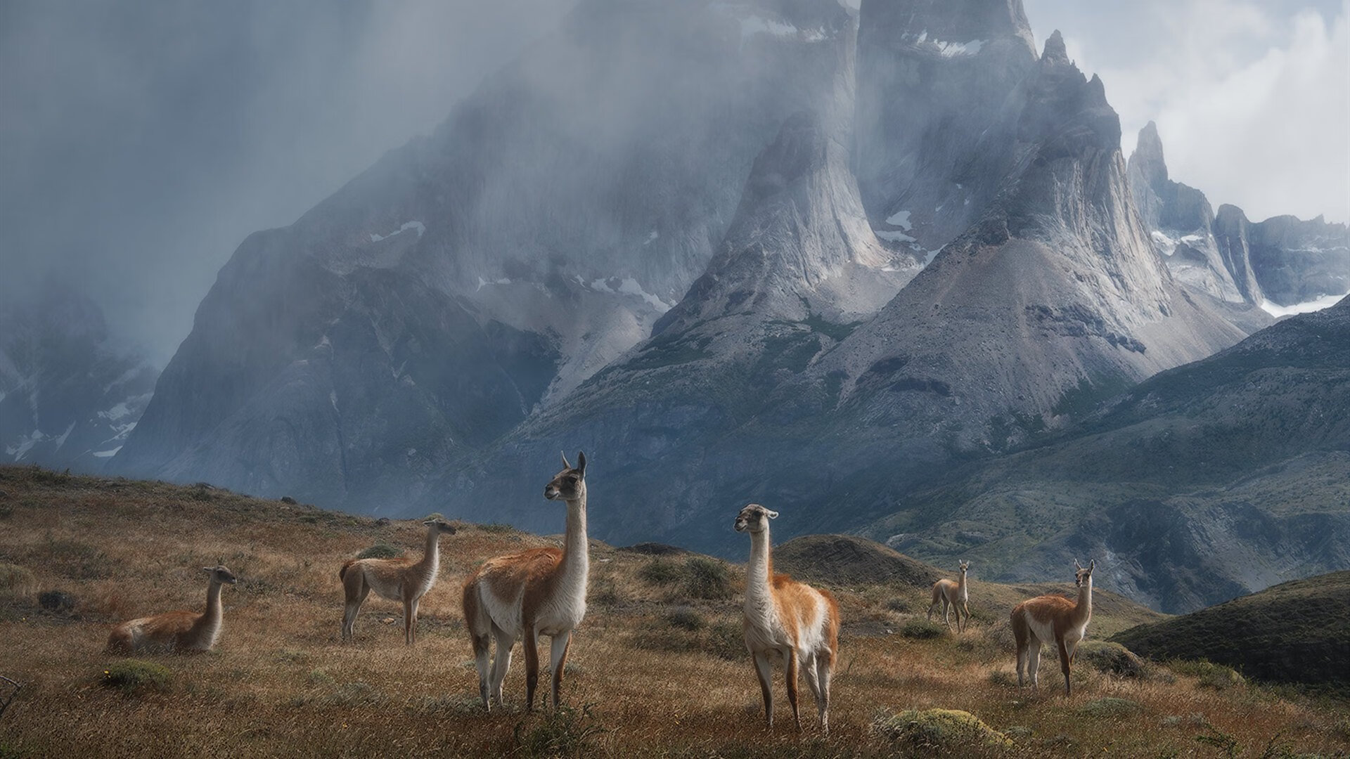 开云体育在线-力挽狂澜！莫兰特超神发挥助独行侠赢得生死战胜利