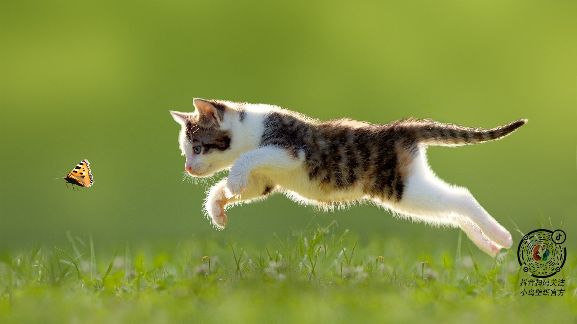 今夜伯纳乌，一个幽灵穆勒拉满存在感