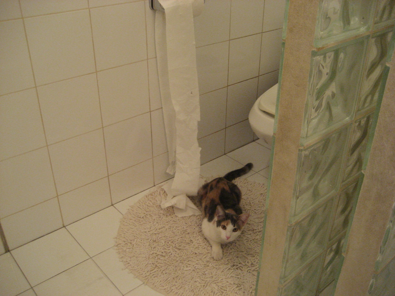 东部焦点战,尼克斯轻取奇才,季后赛首役告捷