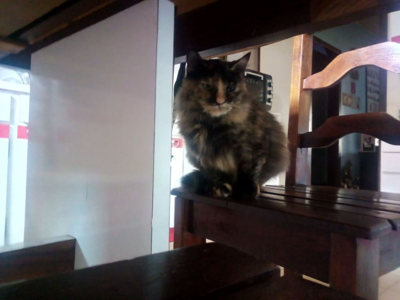 开云平台-狂胜！乔治生涯之夜，老鹰的复仇焰火与费城的漫长寒冬