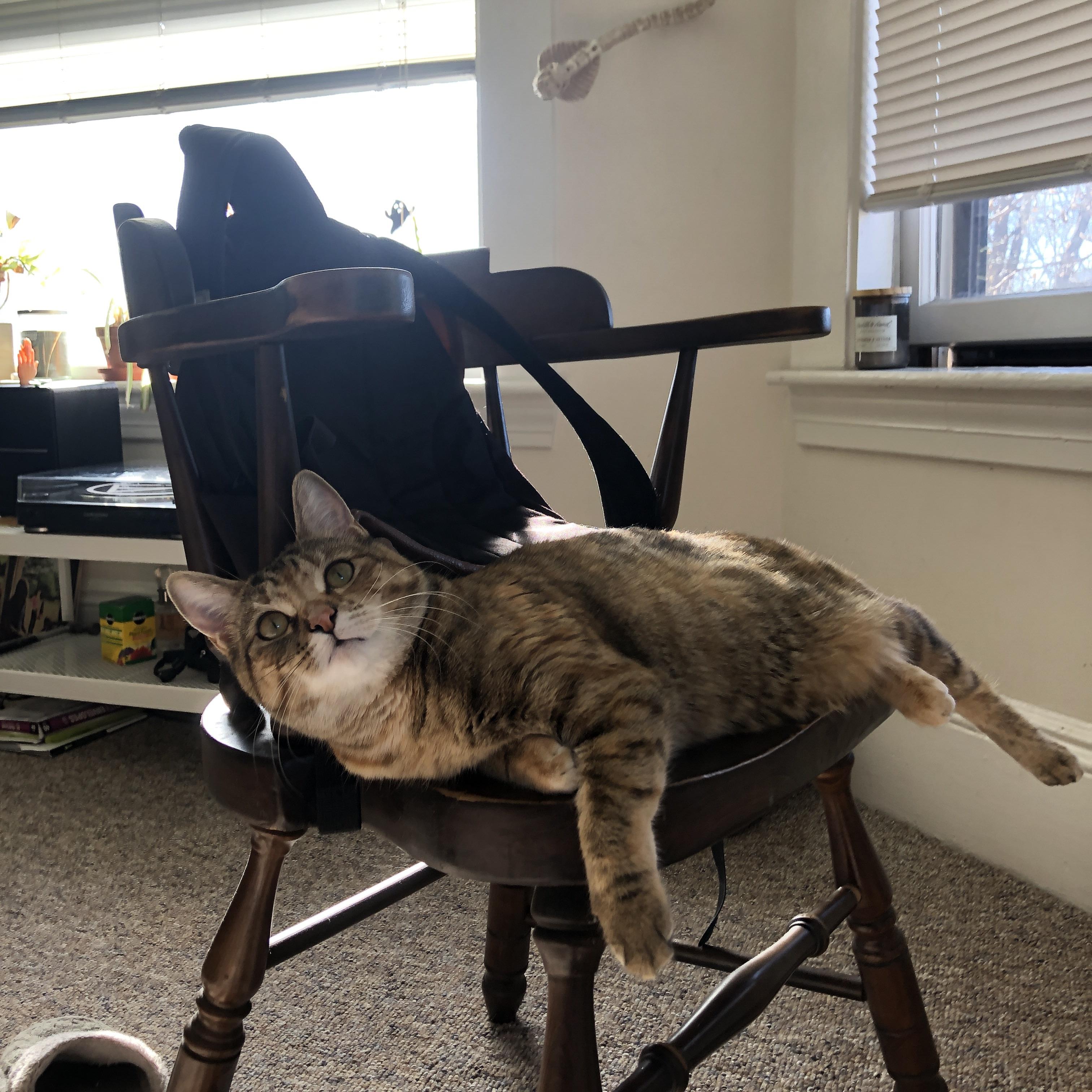 稳定如精密仪器，杜兰特是如何定义不掉线的终极艺术？