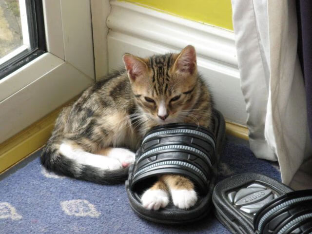 开云下载-乔治如战神下凡！湖人第三节一波流彻底摧毁骑士，超级数据引发联盟震动