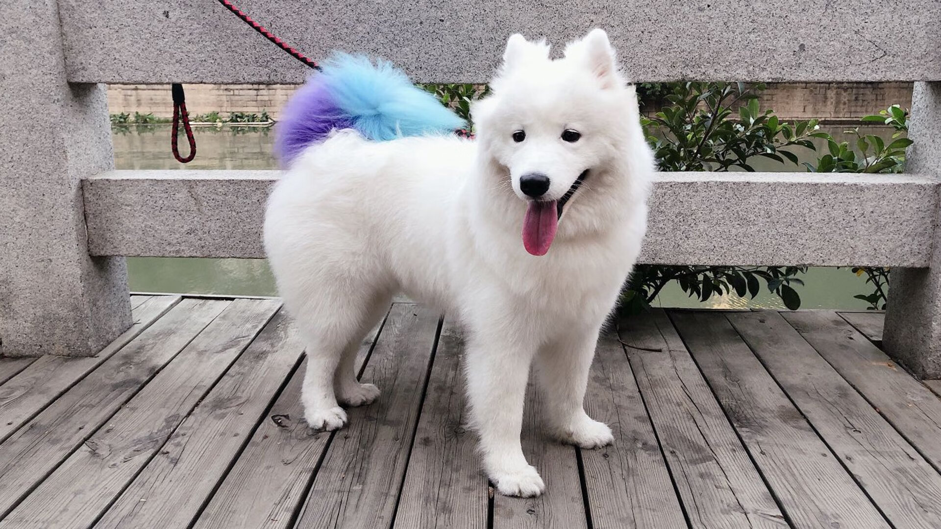 阿劳霍绝境爆发,洪都拉斯火力网窒息墨西哥