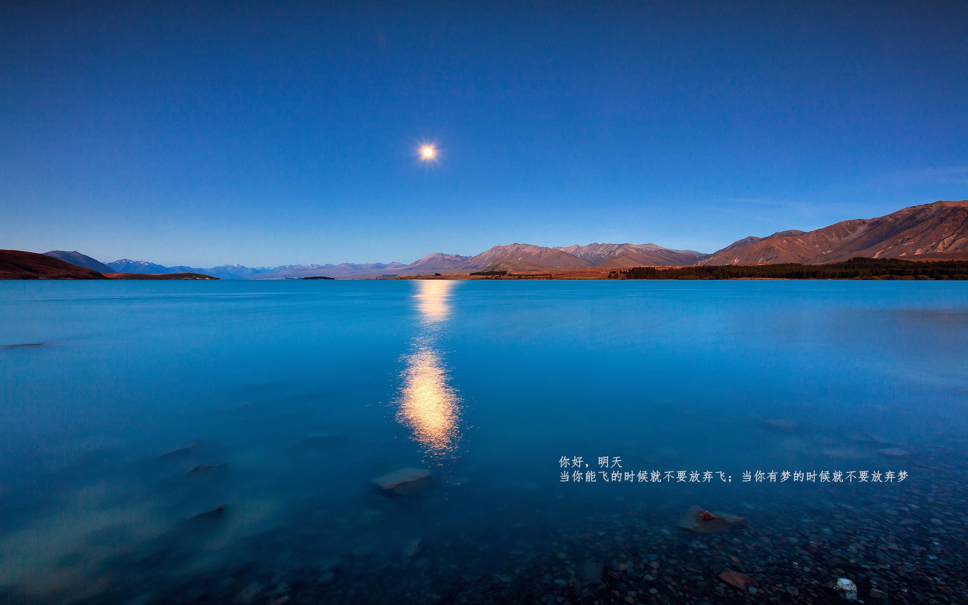 开云下载-现代足球的两种答案，从布鲁诺的统治力到几内亚的战术闪电战