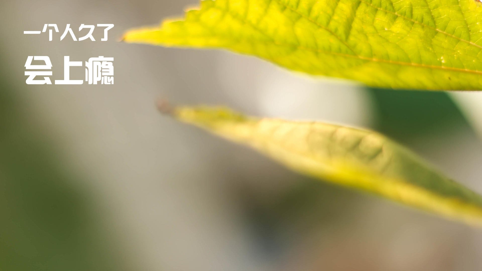 弗拉霍维奇闪耀对决,乌拉圭与德国激战中的高光传奇