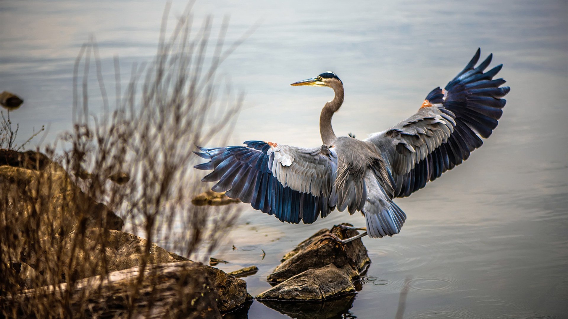 赛道与球场,压力瞬间如何成就冠军的终极狂想
