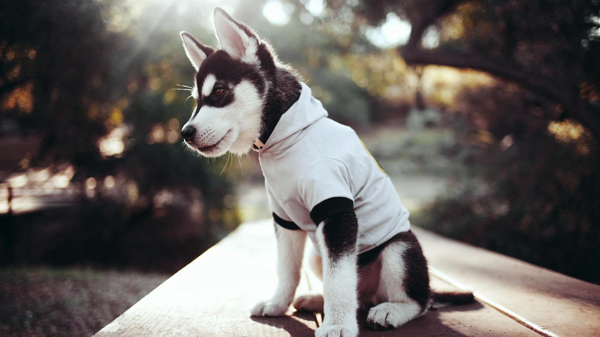 福登爆发点燃赛场,挪威加时逆转澳大利亚—足球之夜的辉煌篇章