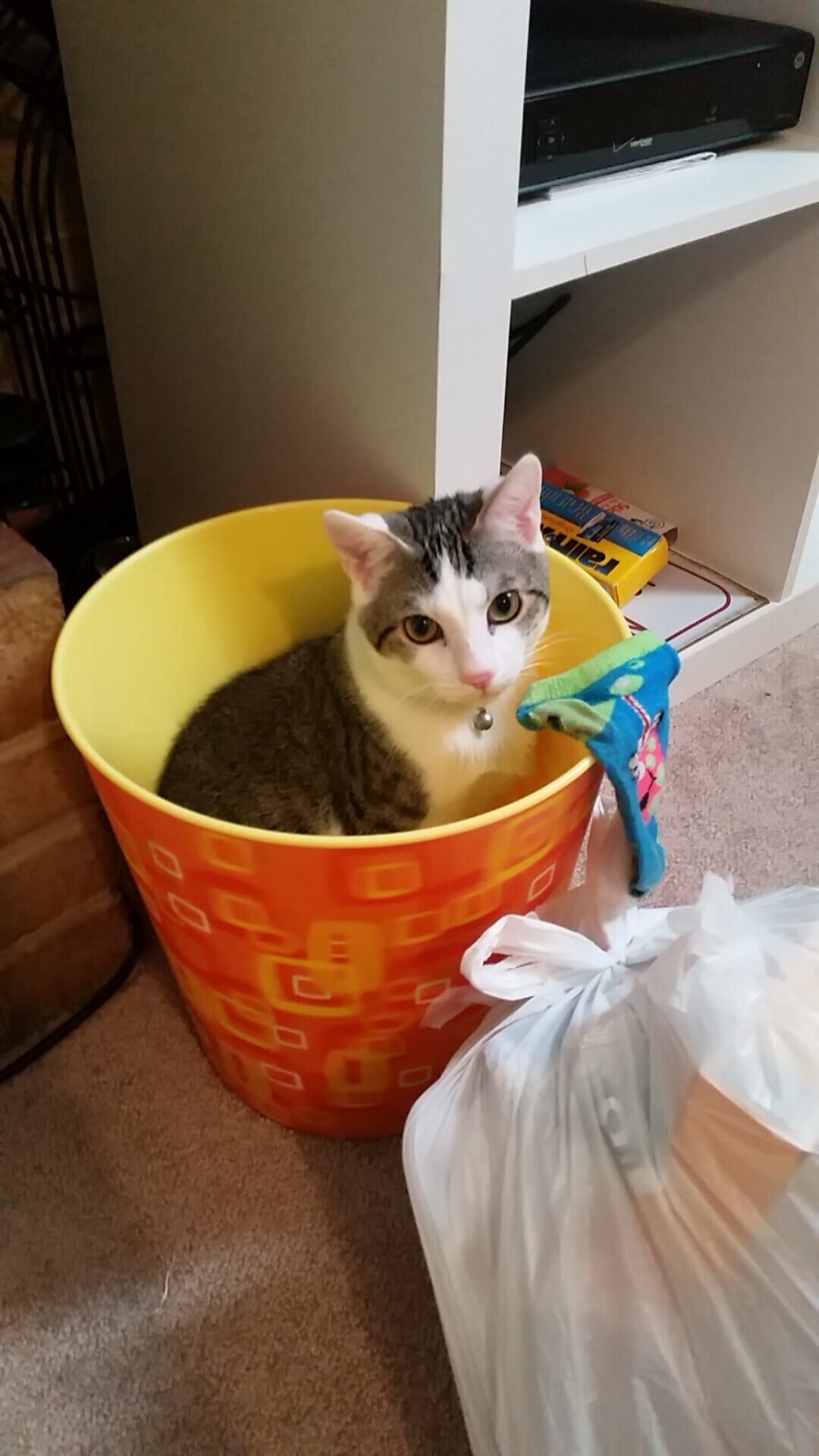 绝境铸就传奇，马赛抢七鏖战力克葡萄牙劲旅，欧冠之路再进一步