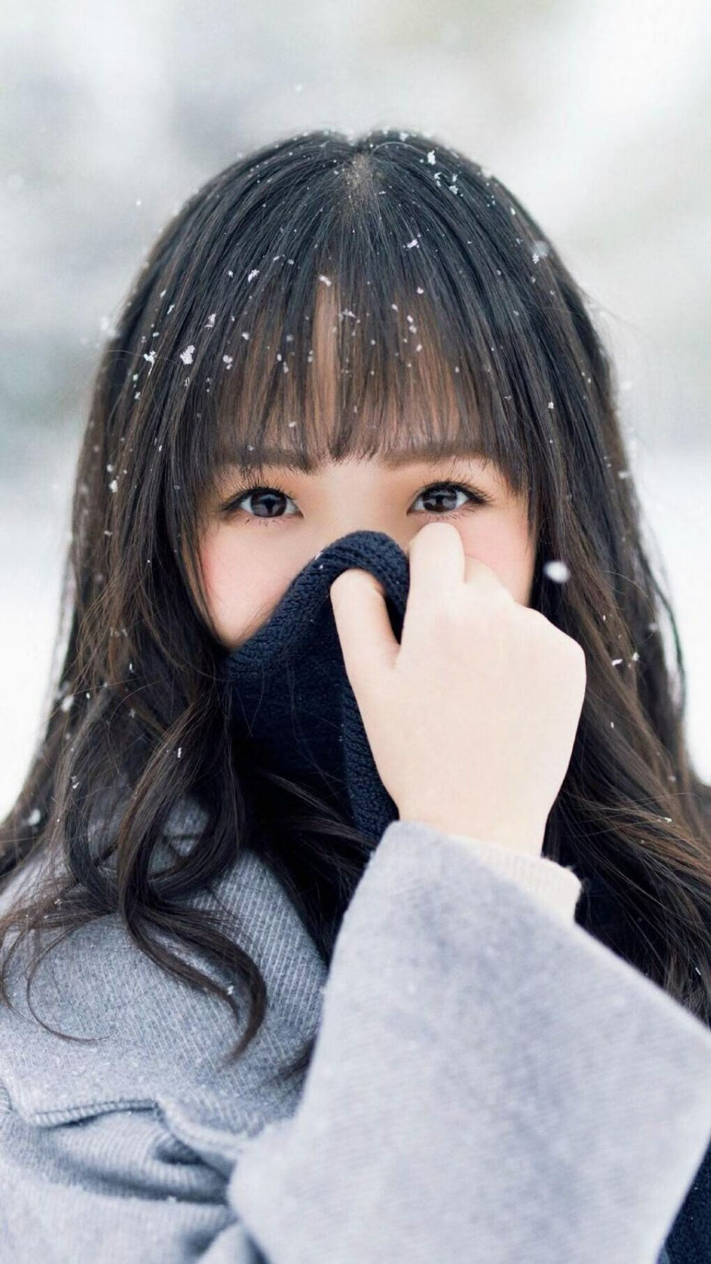 开云体育下载-福克斯利刃出鞘展现巨星价值，黄蜂蛰伤步行者关键战突围