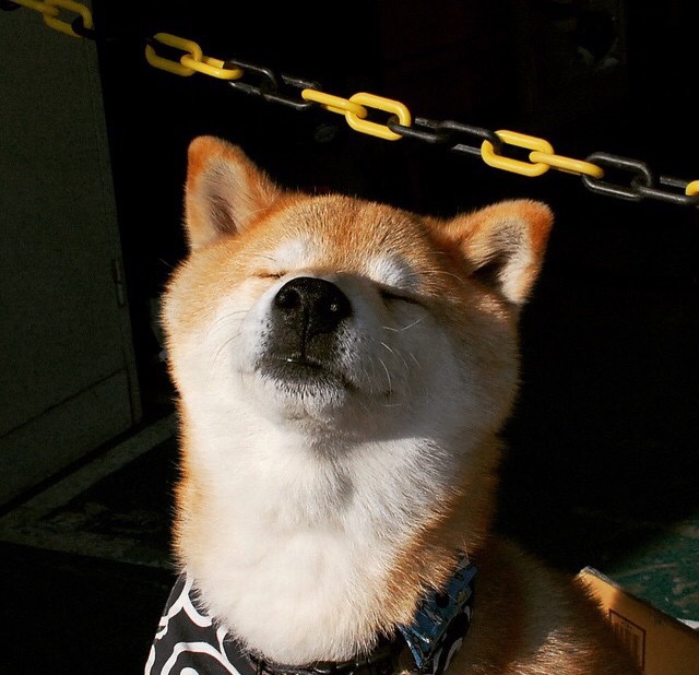 中国力量冲垮马赛,克瓦拉茨赫利亚在世界排名争夺战中接管比赛