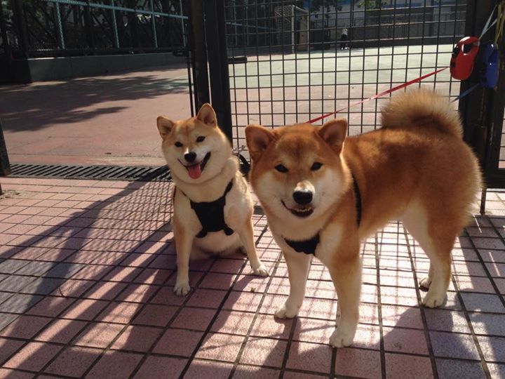 开云APP-平行宇宙，贝恩爆发助魔术强势晋级，东决再战凯尔特人