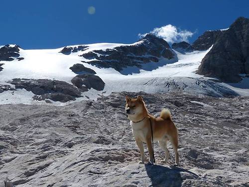 当沙漠战鼓响彻伯纳乌,国家德比与非洲铁血的时代回响