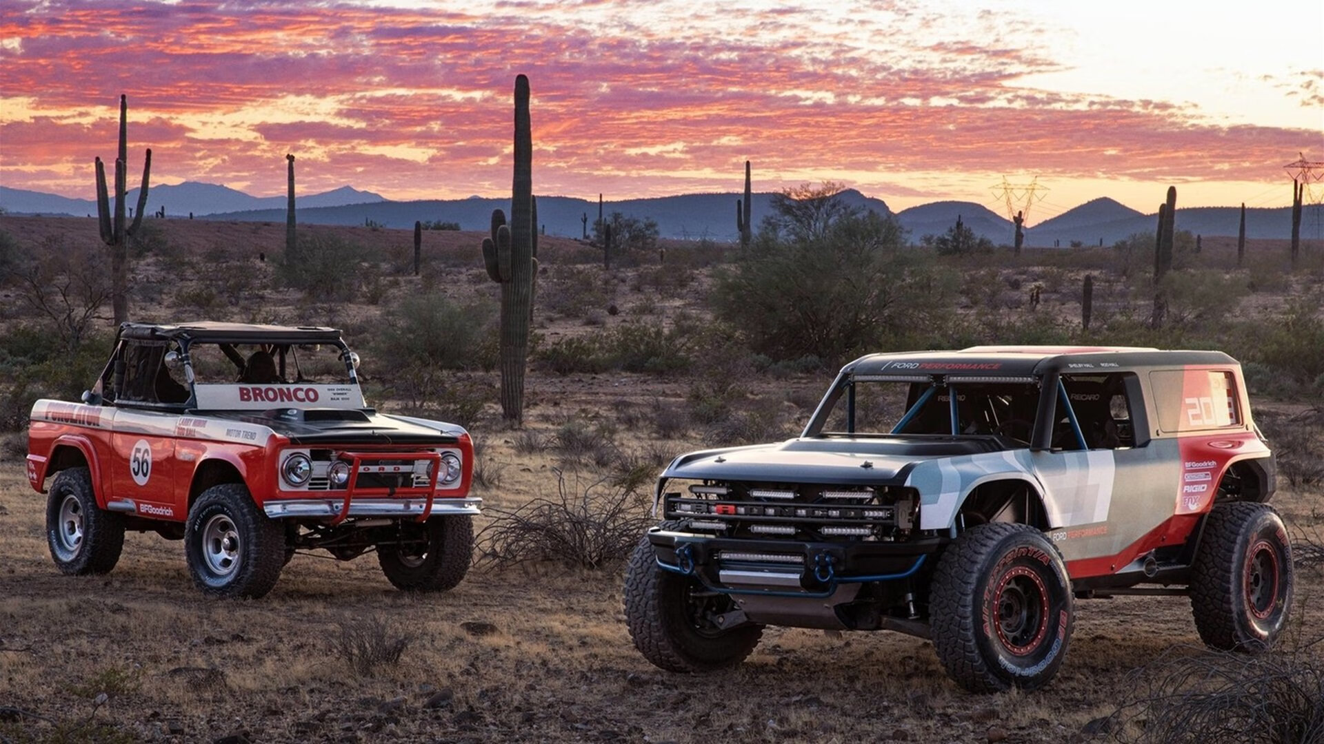 开云体育官网-闪耀!意大利新王与加勒比飓风